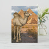 カメルアットザピラミッド招待状 招待状 (スタンド正面)