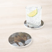 カメルアート コースター (側面)