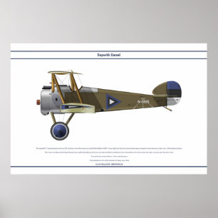 カメルエストニア ポスター