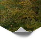 カメルバックマウンテン、スコッツデール、アリゾナ ポスター (角)