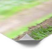 カメルーンの羊と子羊の乳飲み ポスター (角)