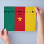 カメルーン国旗のフライヤー チラシ (手)