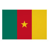 カメルーン国旗を掲げた愛国的な壁のポスター ポスター (正面)