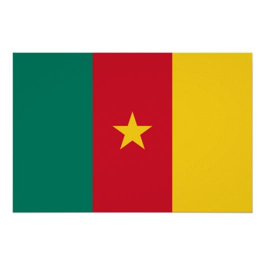 カメルーン国旗を掲げた愛国的な壁のポスター ポスター (正面)