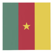 カメルーン国旗 フォトキューブ (正面)