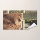 カメル ハンドタオル (ハンドタオル)