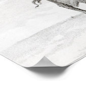 カメル ポスター (角)