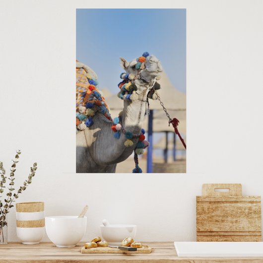 カメル ポスター (キッチン)