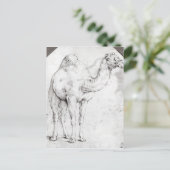 カメル ポストカード (スタンド正面)