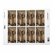 カメル ラベル (フルシート)