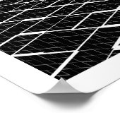 カメレア ポスター (角)