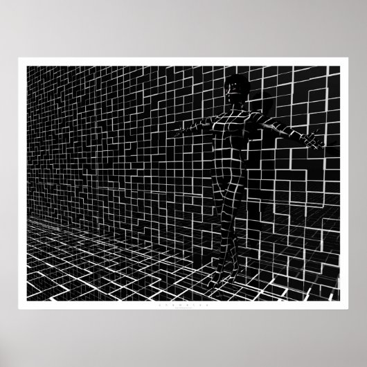 カメレア ポスター (正面)