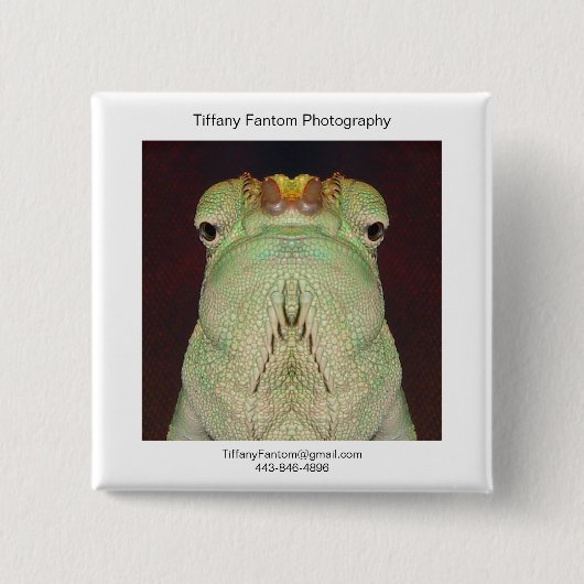 カメレオンの広告宣伝の部分 缶バッジ (正面)