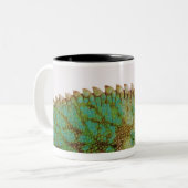 カメレオンの皮膚の変化 ツートーンマグカップ (正面左)