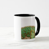 カメレオンの皮膚の変化 マグカップ (正面右)