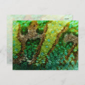 カメレオンの皮 ポストカード (正面/裏面)