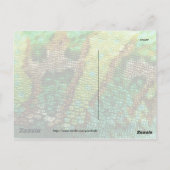 カメレオンの皮 ポストカード (裏面)