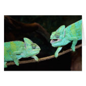 カメレオンカード (正面横)