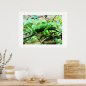 カメレオン動物 ポスター (キッチン)