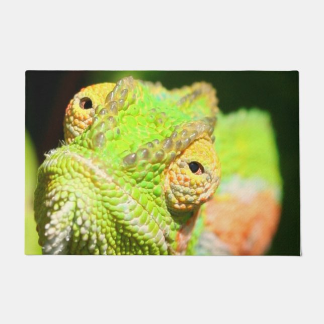 カメレオン形式 ドアマット (正面)