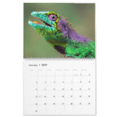 カメレオン カレンダー (1月 2027)