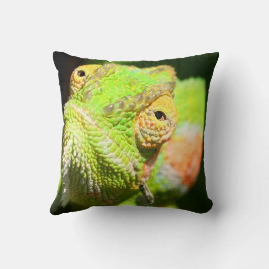 カメレオン クッション (裏面)