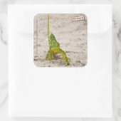 カメレオン スクエアシール (バッグ)