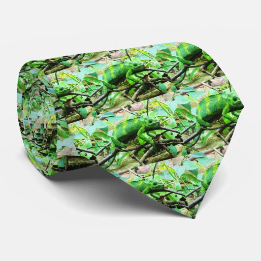 カメレオン ネクタイ (ロール)