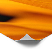 カメレオン ポスター (角)