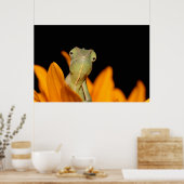 カメレオン ポスター (キッチン)