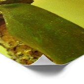 カメレオン ポスター (角)