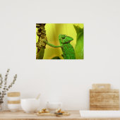 カメレオン ポスター (キッチン)