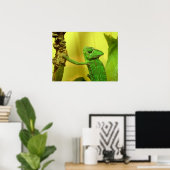 カメレオン ポスター (ホームオフィス)