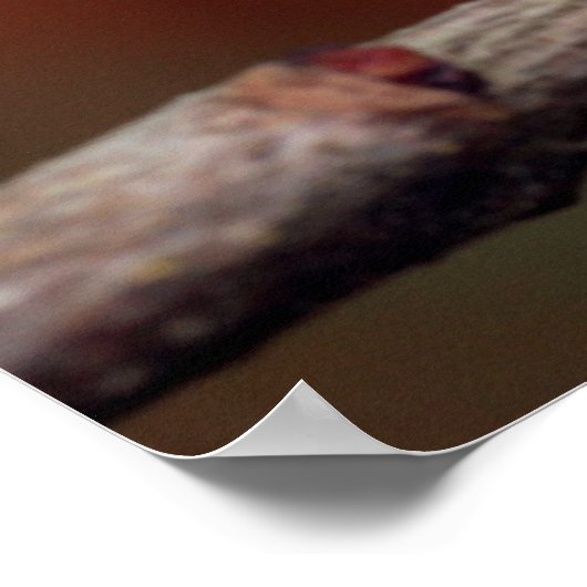 カメレオン ポスター (角)