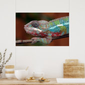 カメレオン ポスター (キッチン)