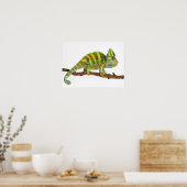 カメレオン ポスター (キッチン)