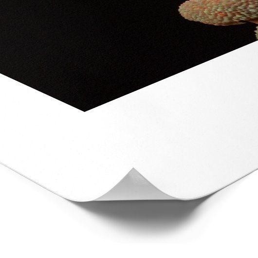 カメレオン ポスター (角)