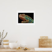 カメレオン ポスター (キッチン)