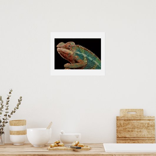 カメレオン ポスター (キッチン)