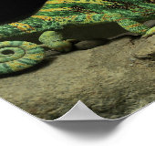 カメレオン・ポスター・オン・バック ポスター (角)