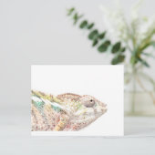 カメレオン ポストカード (スタンド正面)