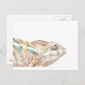 カメレオン ポストカード (正面/裏面)