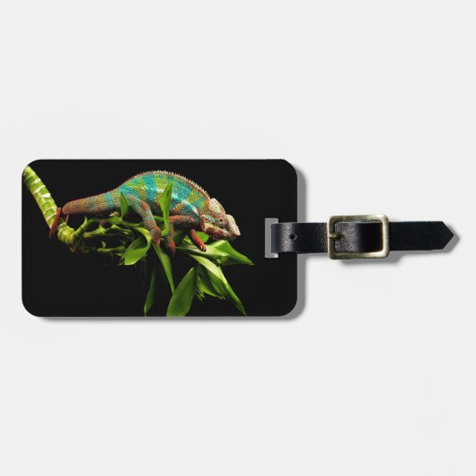 カメレオン ラゲッジタグ (正面横)
