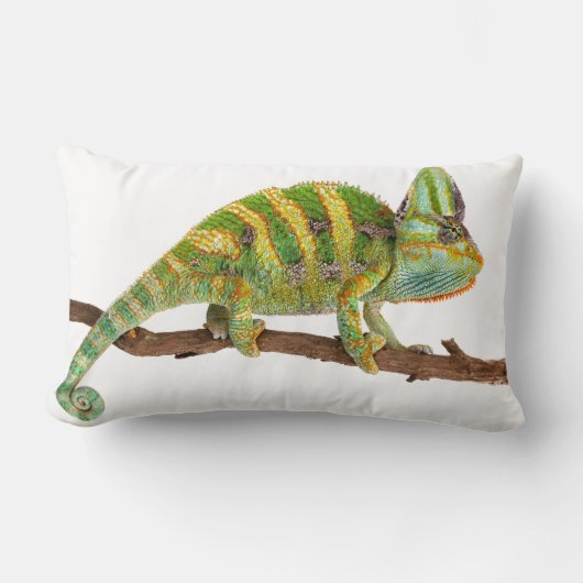 カメレオン ランバークッション (正面)