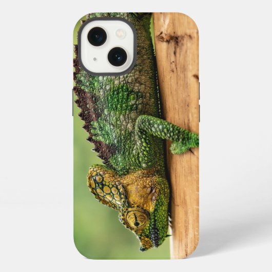カメレオン、爬虫類、自然 iPhoneケース (裏面)