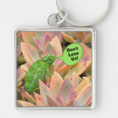 カメレオン, "私たちを見失わないで" キーホルダー (正面)