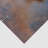 カメレオンIダーククラウド 薄葉紙 (詳細)