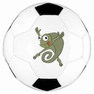 カメレ素晴らしオン サッカーボール