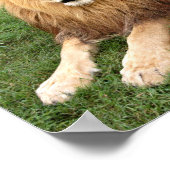 カメロン1 11x11 ポスター (角)