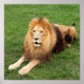 カメロン1 11x11 ポスター (正面)